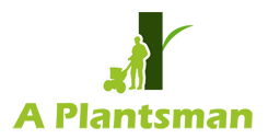 A Plantsman